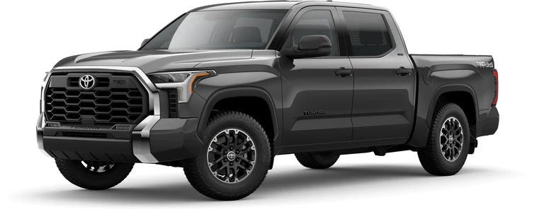 2022 Toyota Tundra SR5 in Magnetic Gray Metallic | Classic Toyota in Waukegan IL