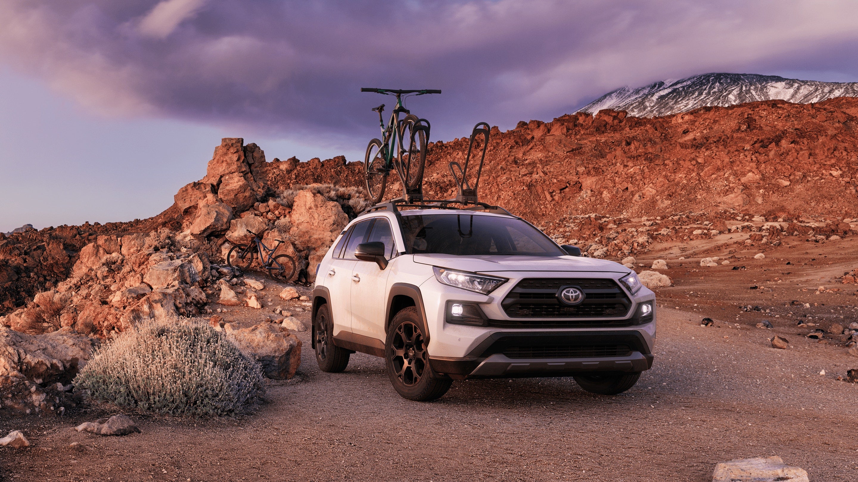 Take a Ride in the 2020 RAV4 in Waukegan